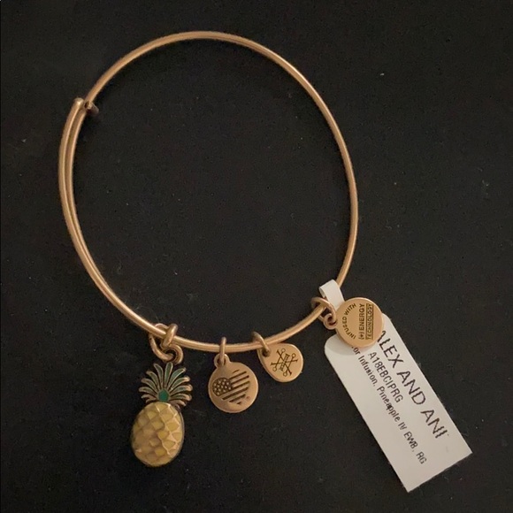 Alex and Ani Jewelry - Alex and Ani Gold Bracelet